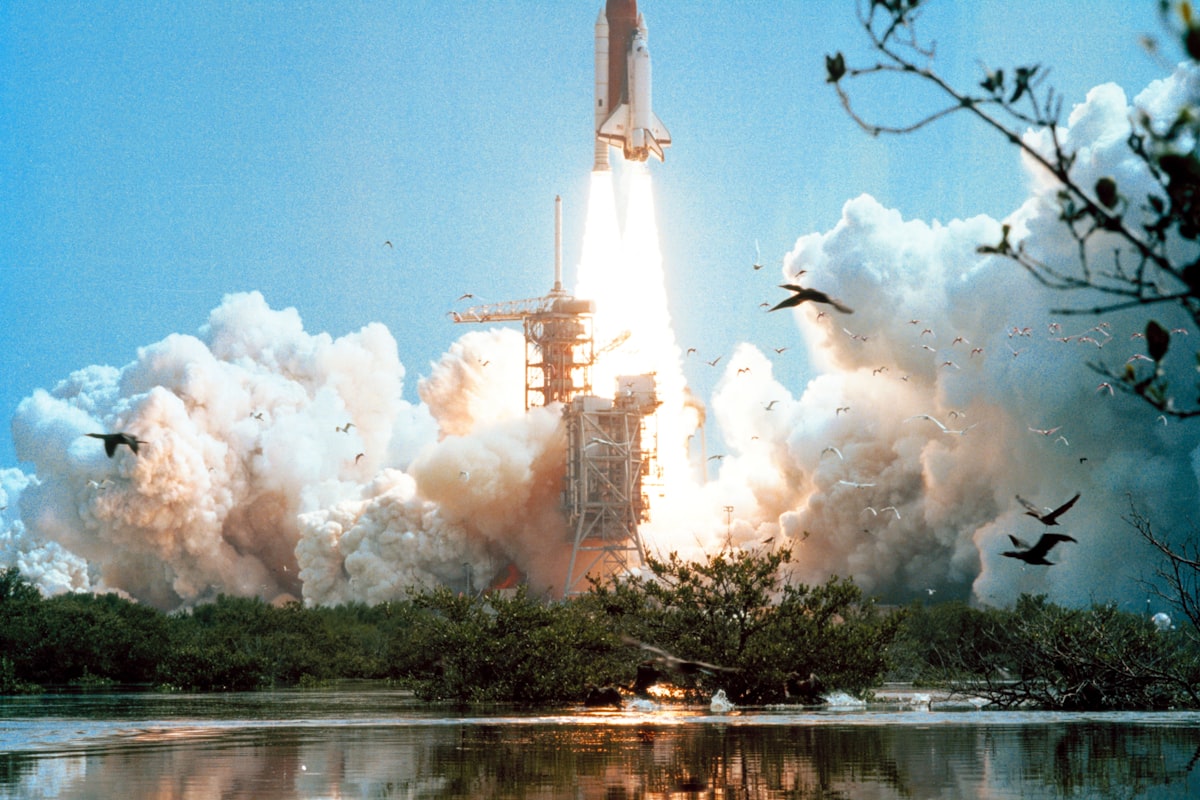 Space shuttle launching beyond a marsh as flocks of birds take flight